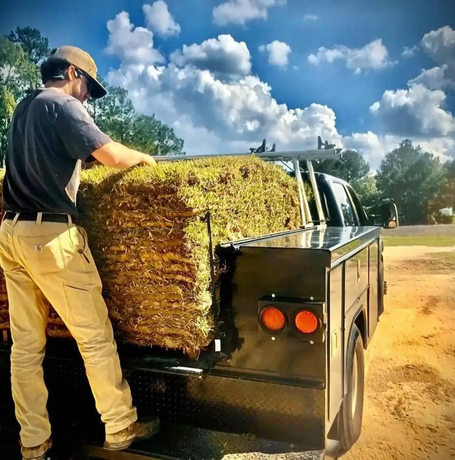 James Johnson loading grass